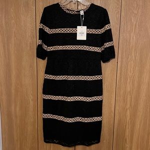 NEVER WORN Downeast dress. Fitted with full zipper in back. Black w/black lace